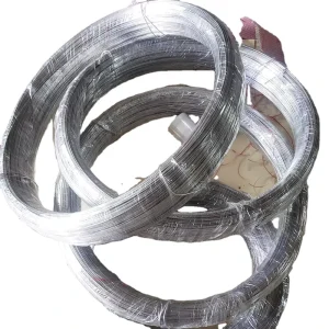 304 316 321 310 201 430 Stainless Spring Steel Welding Wire 2.5mm*0.8 mm Ss 304 Wire