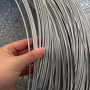 ASTM AiSi 201 302 304 310s 316 Stainless Steel Wires High Tensile Strength Cold Drawn Welding