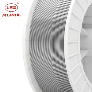 China OEM Welding Consumable Welding Wire Manufacturer ER308 Stainless Steel TIG Rod for Nuclear Power Projects