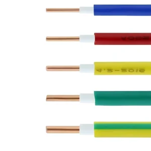 Flame Retardant ZC BVV Copper PVC Insulated Sheathed Cable 450/750V 70℃ Building Wire For Indoor Fixed Wiring Lighting