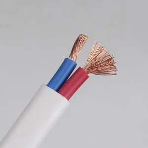 Flexible PVC Cable Oxygen-free Copper Conductor Flat Sheath RVVB 2*4/6 Mm Low Loss Exposed Installation for Building Use