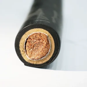 High Quality 450 700V Rubber Insulated 25mm2 35mm2 50mm2 70mm2 Welding Cable