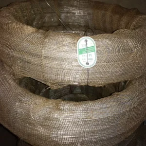 Hot Dipped Galvanized Iron Wire BWG 12 22 28 Tons 20GP Bulk Export GI Binding Wire Coil