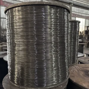 Low Carbon Steel Wire Carbon Steel Wire SAE1008 0.5mm 1.6mm Raw Material for Wire Mesh