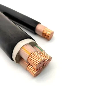 Low Voltage Marine IP44 2.5mm 6mm 10mm 120mm 150mm 0.6/1 Kv Copper Conductor PVC Sheath XLPE Insulated Yjv N2xy 4 Core Power