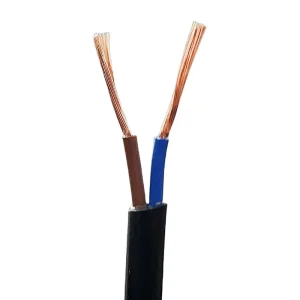U1000 R2V 600V 2C 1.5mm2 NFC32 321 Standard XLPE Insulation and PVC Jacket Electrical Cable