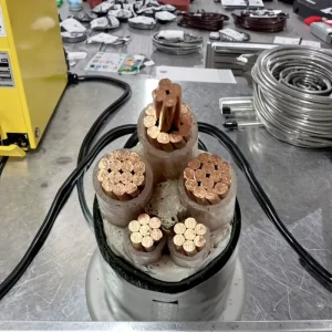 Power Cable ZB YJV4X16 1X10 Square Flame Retardant Cable